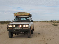 Wombat on Corunna Downs secret airstrip 
